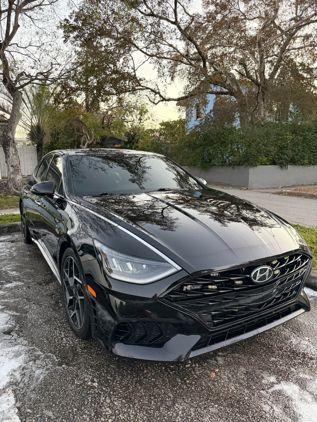 PAINT ENHANCEMENT DETAIL