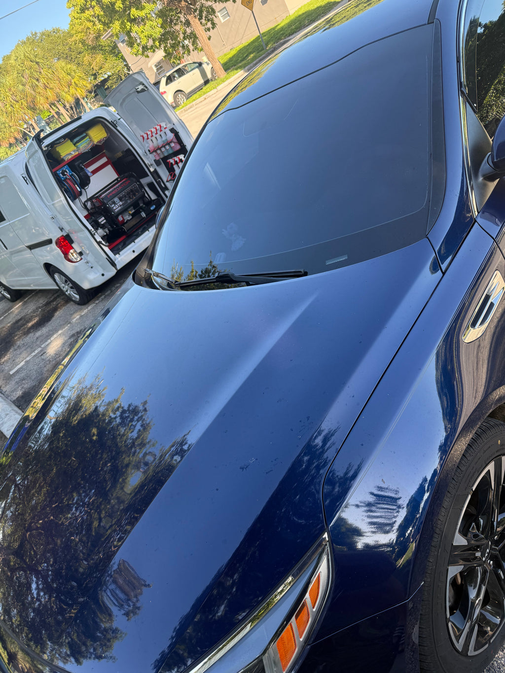 ELITE PAINT RESTORATION DETAILING