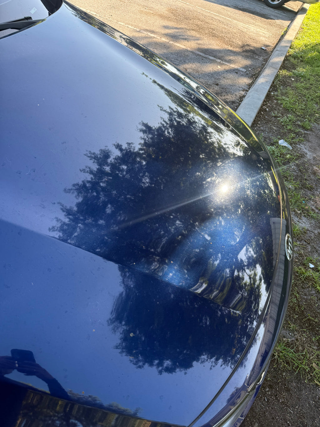 ELITE PAINT RESTORATION DETAILING