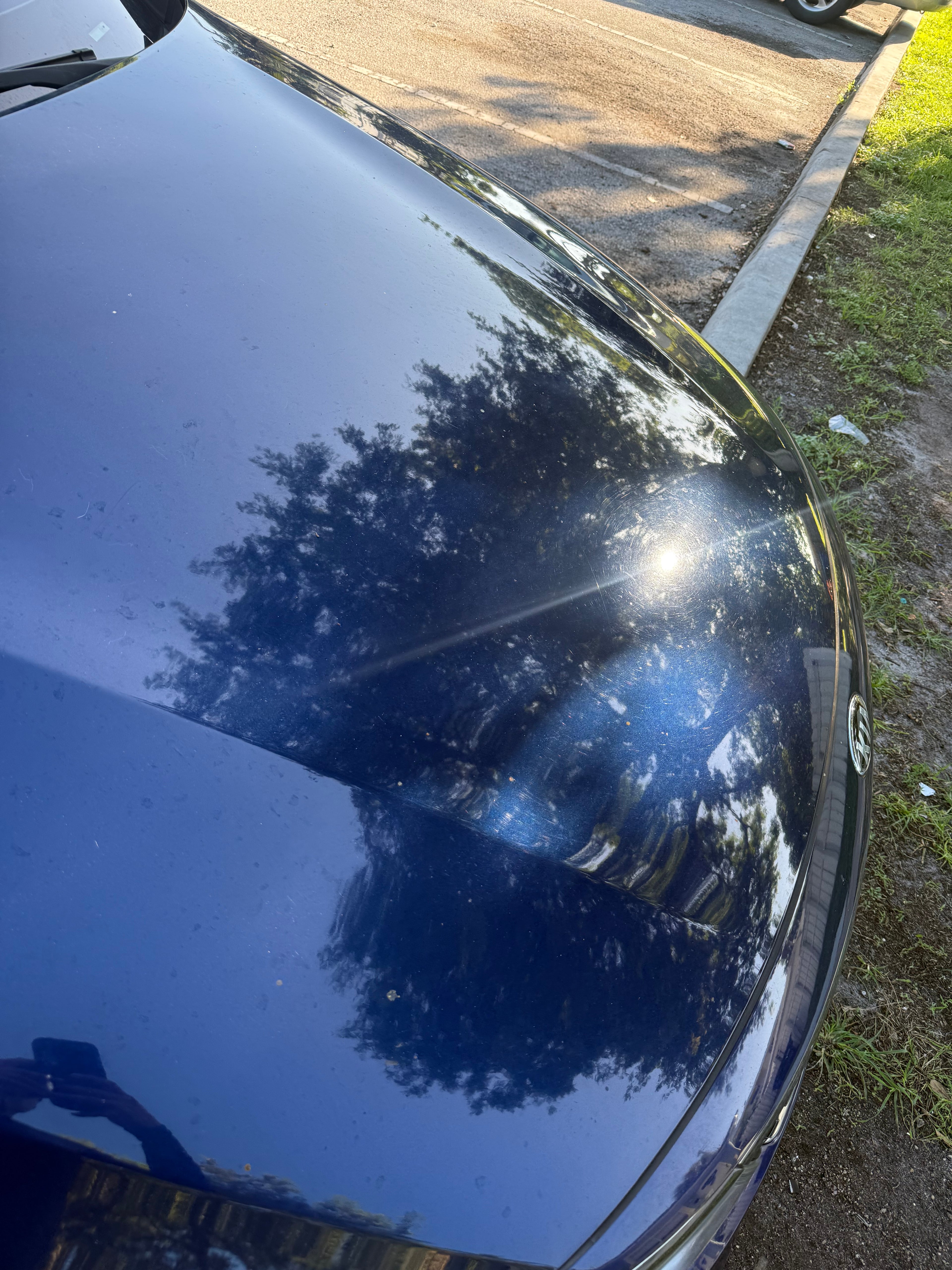 ELITE PAINT RESTORATION DETAILING