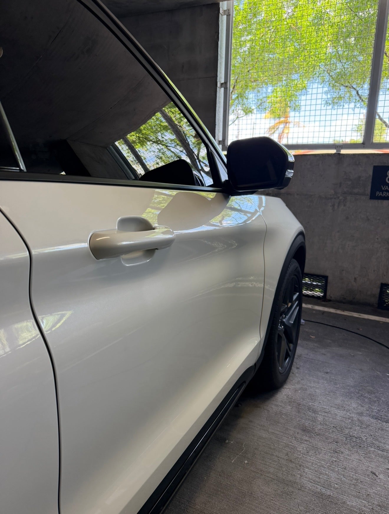 ELITE PAINT RESTORATION DETAILING