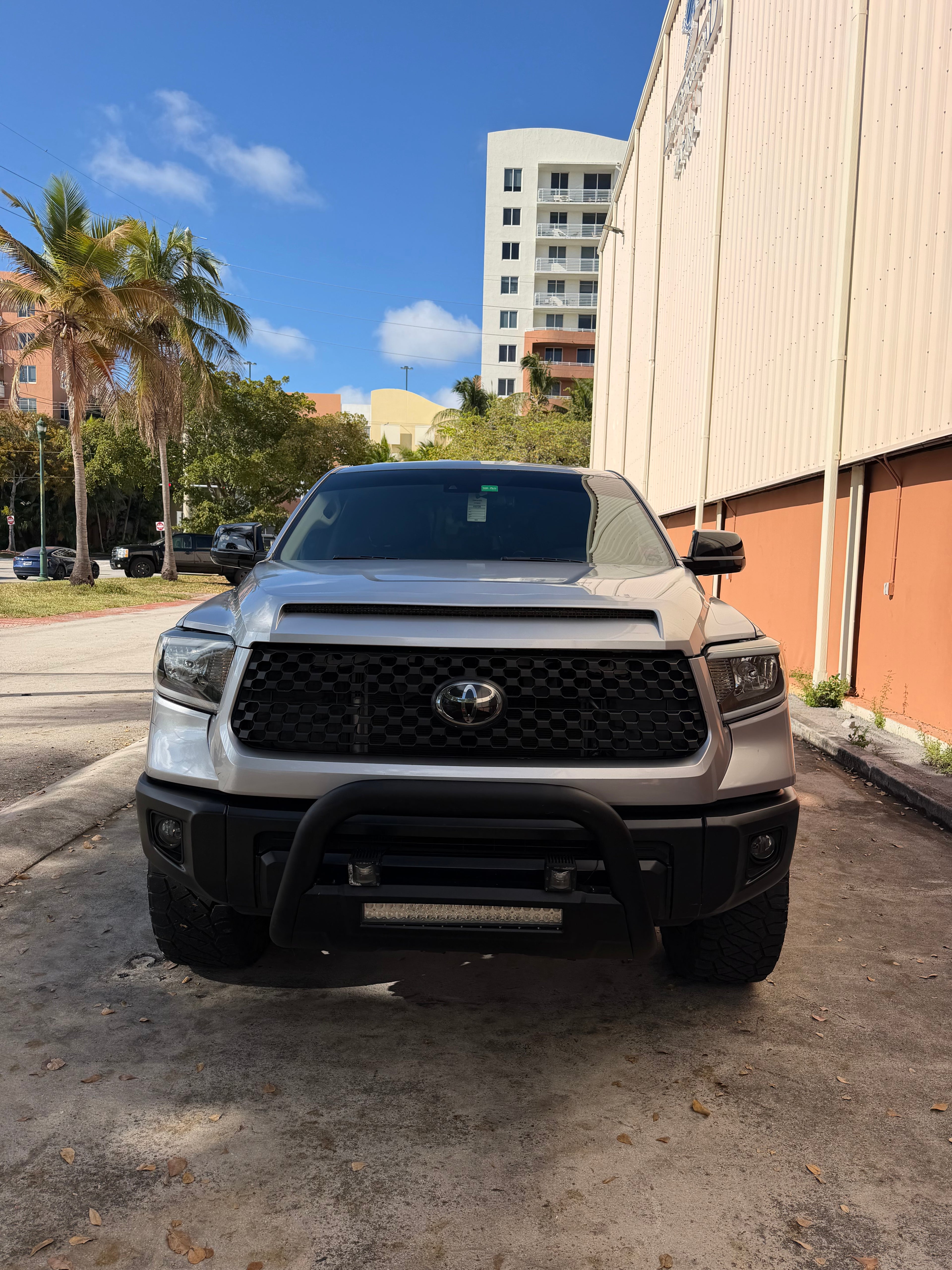 PAINT ENHANCEMENT DETAIL