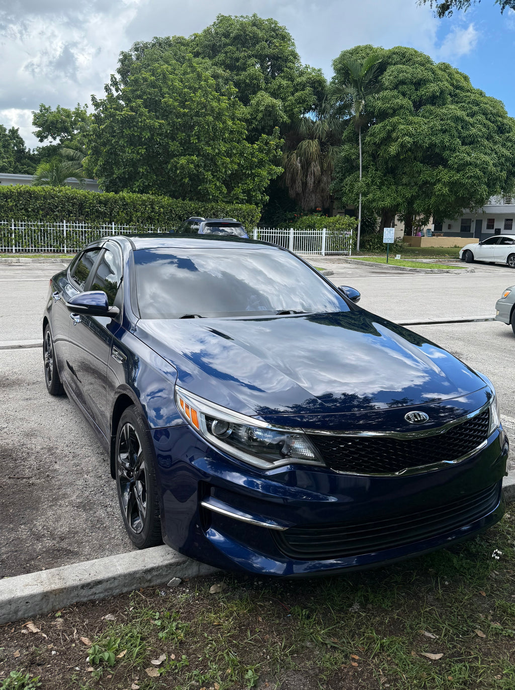 ELITE PAINT RESTORATION DETAILING