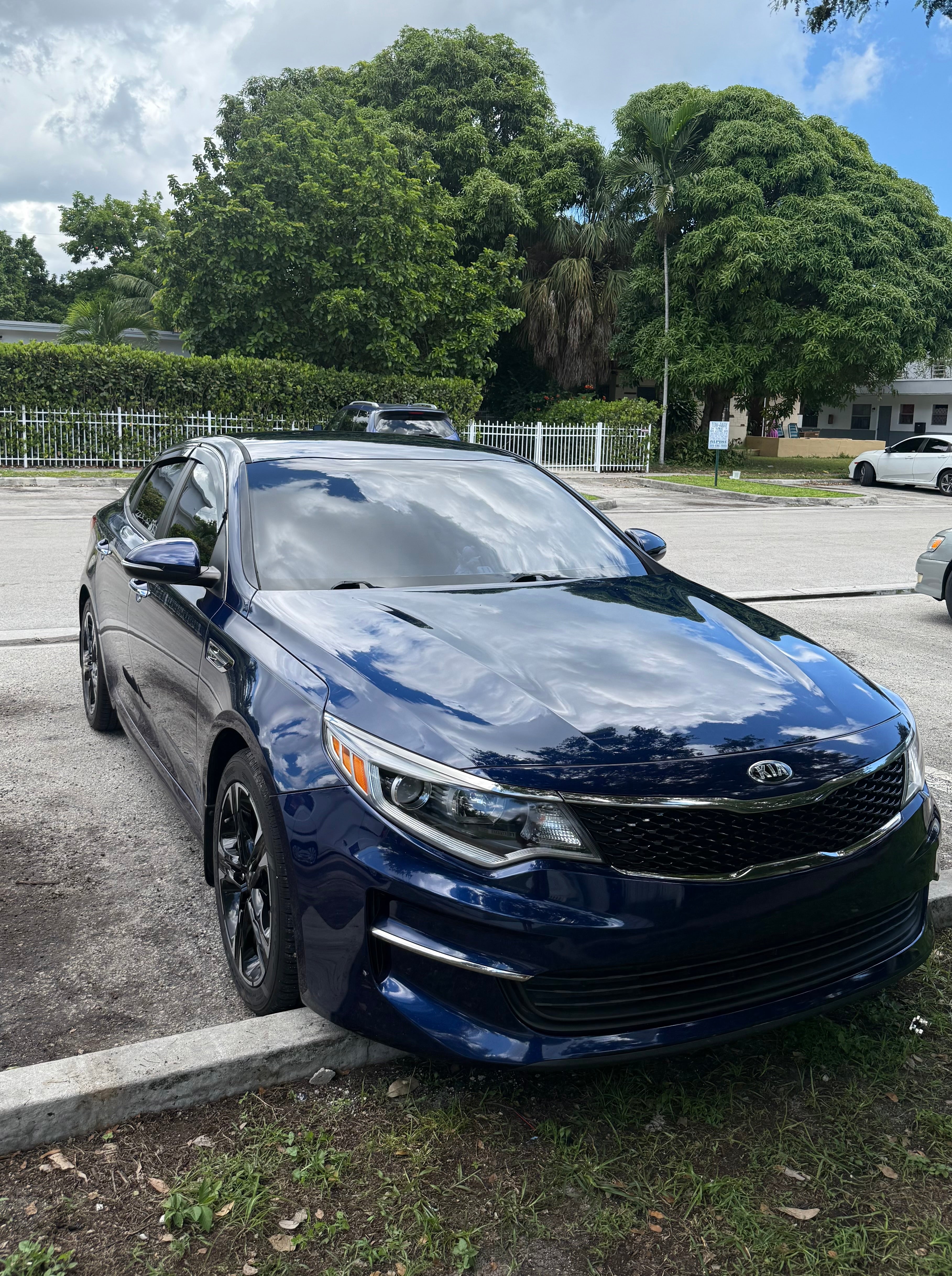 ELITE PAINT RESTORATION DETAILING