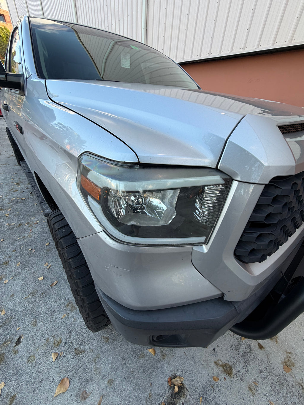 PAINT ENHANCEMENT DETAIL