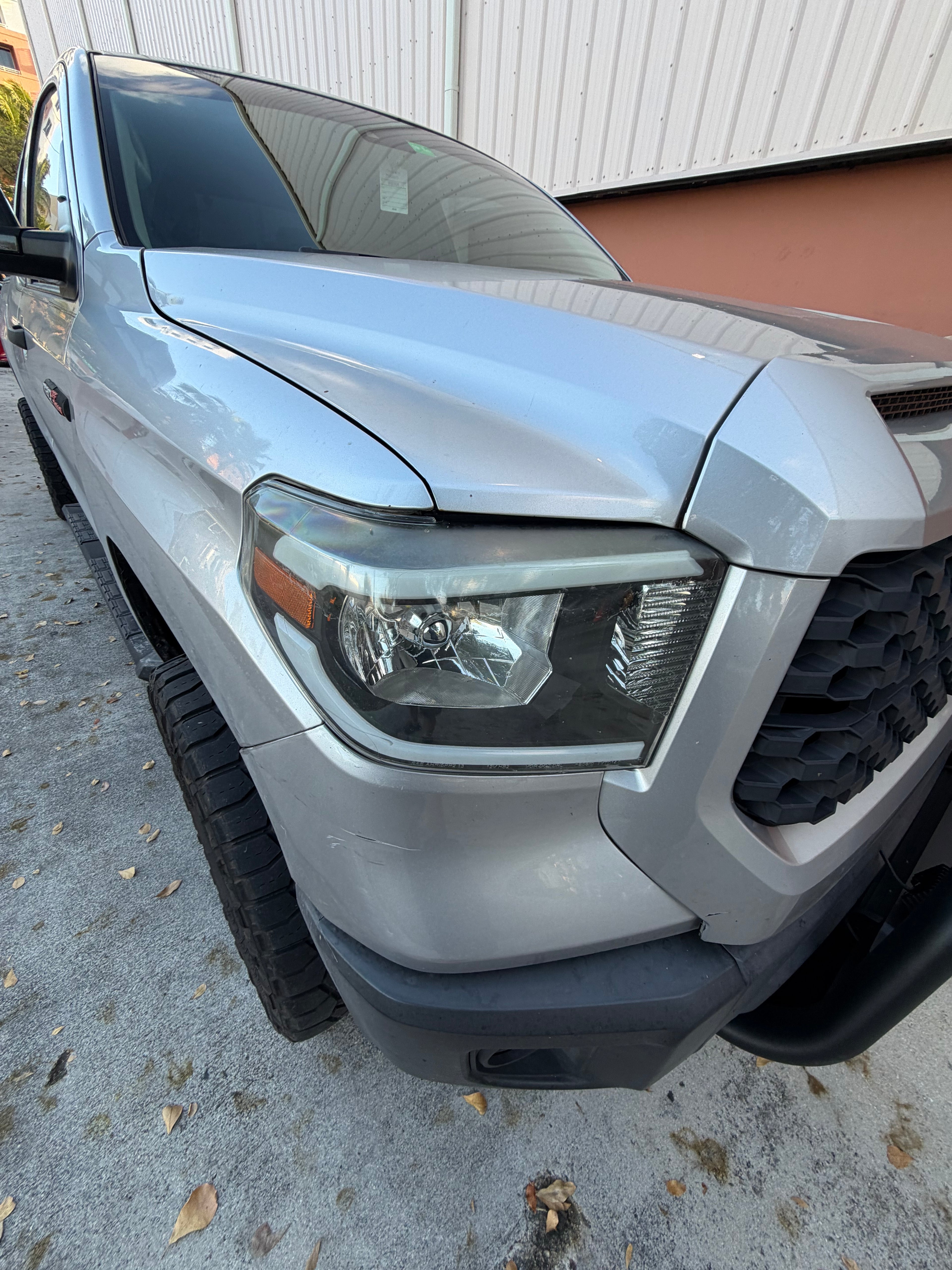 PAINT ENHANCEMENT DETAIL