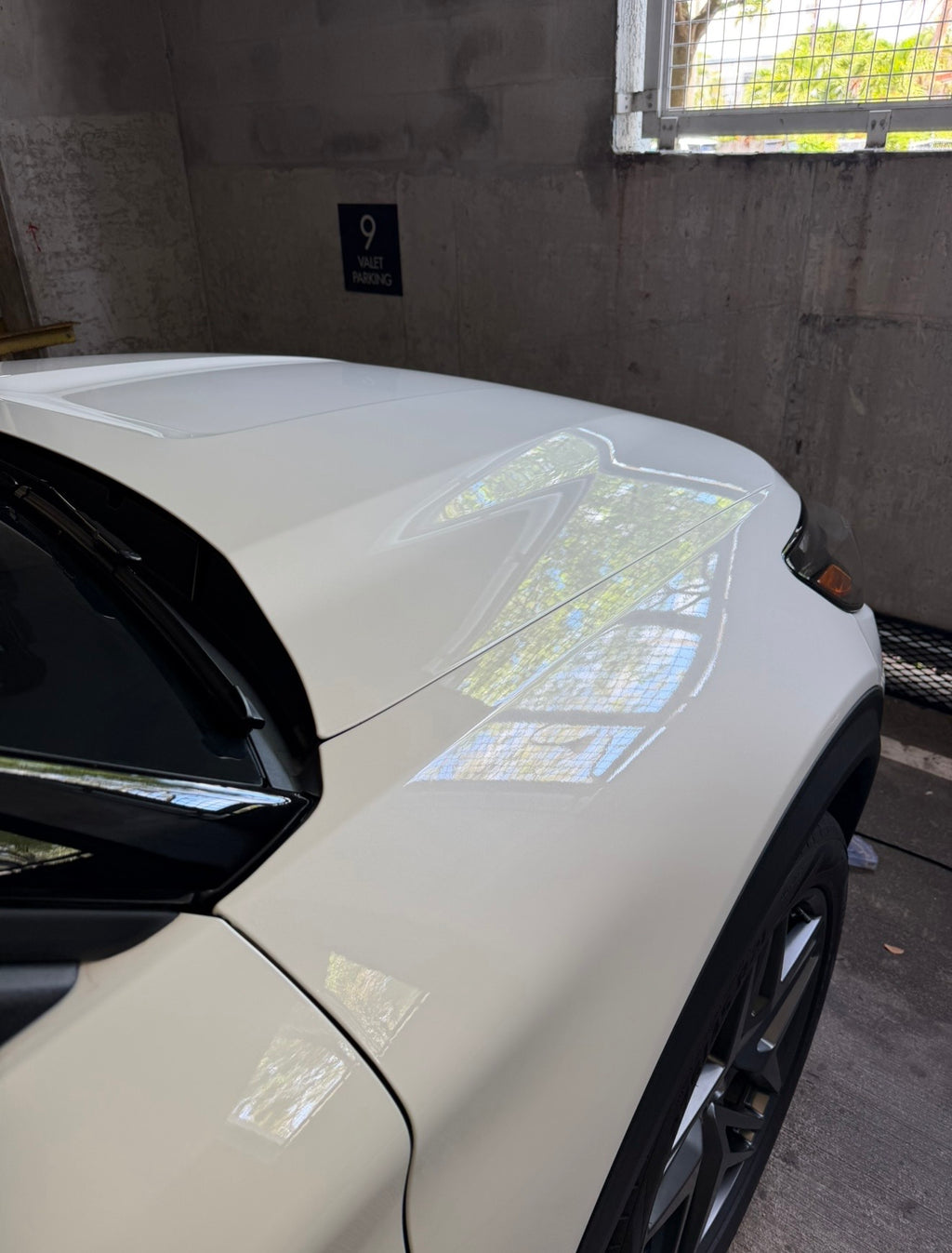 ELITE PAINT RESTORATION DETAILING